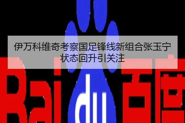 伊万科维奇考察国足锋线新组合张玉宁状态回升引关注