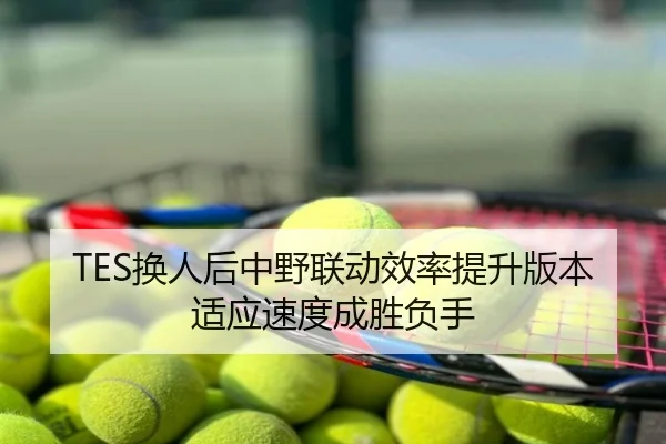 TES换人后中野联动效率提升版本适应速度成胜负手